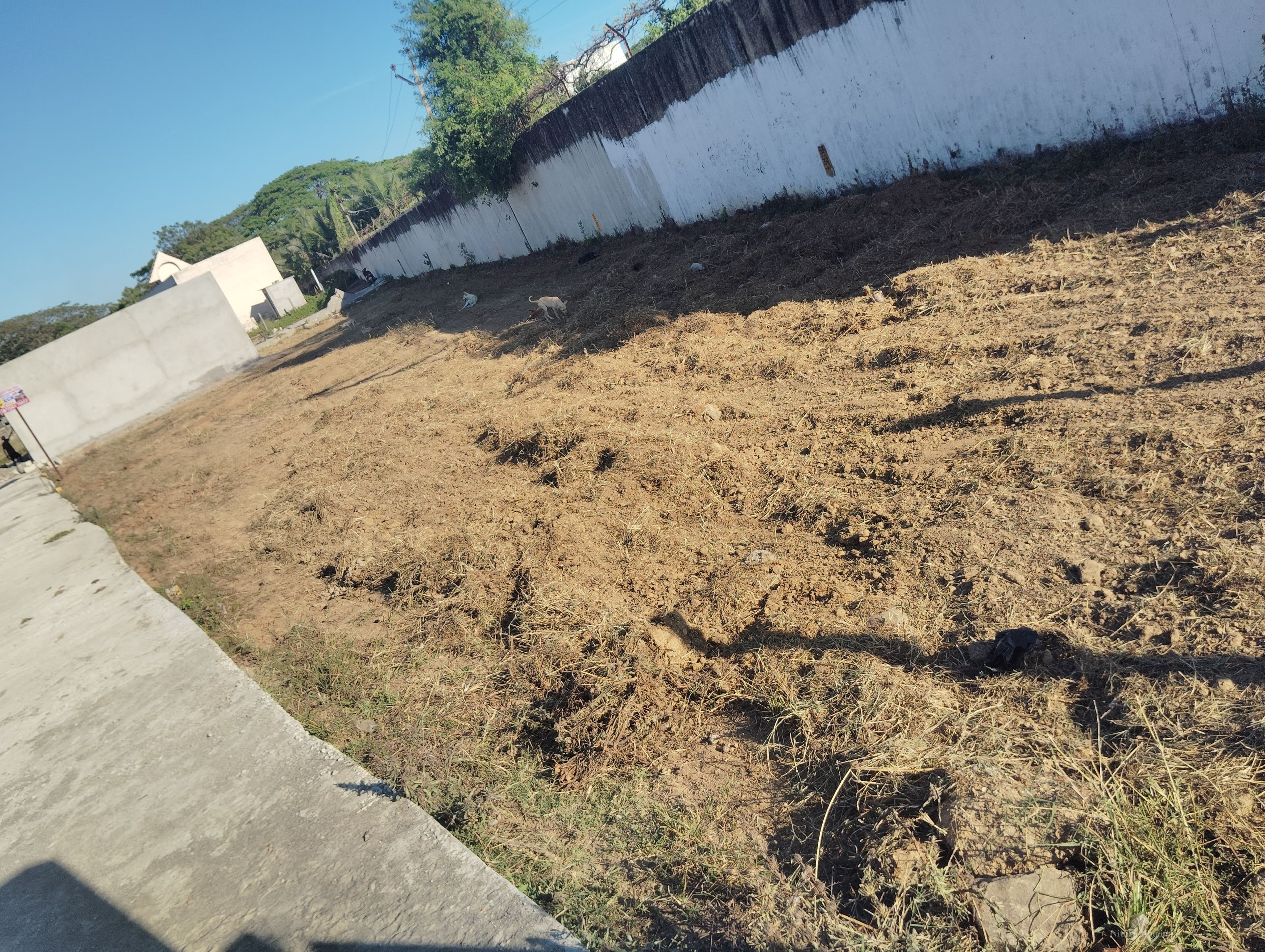 Plot Property in Koovathur