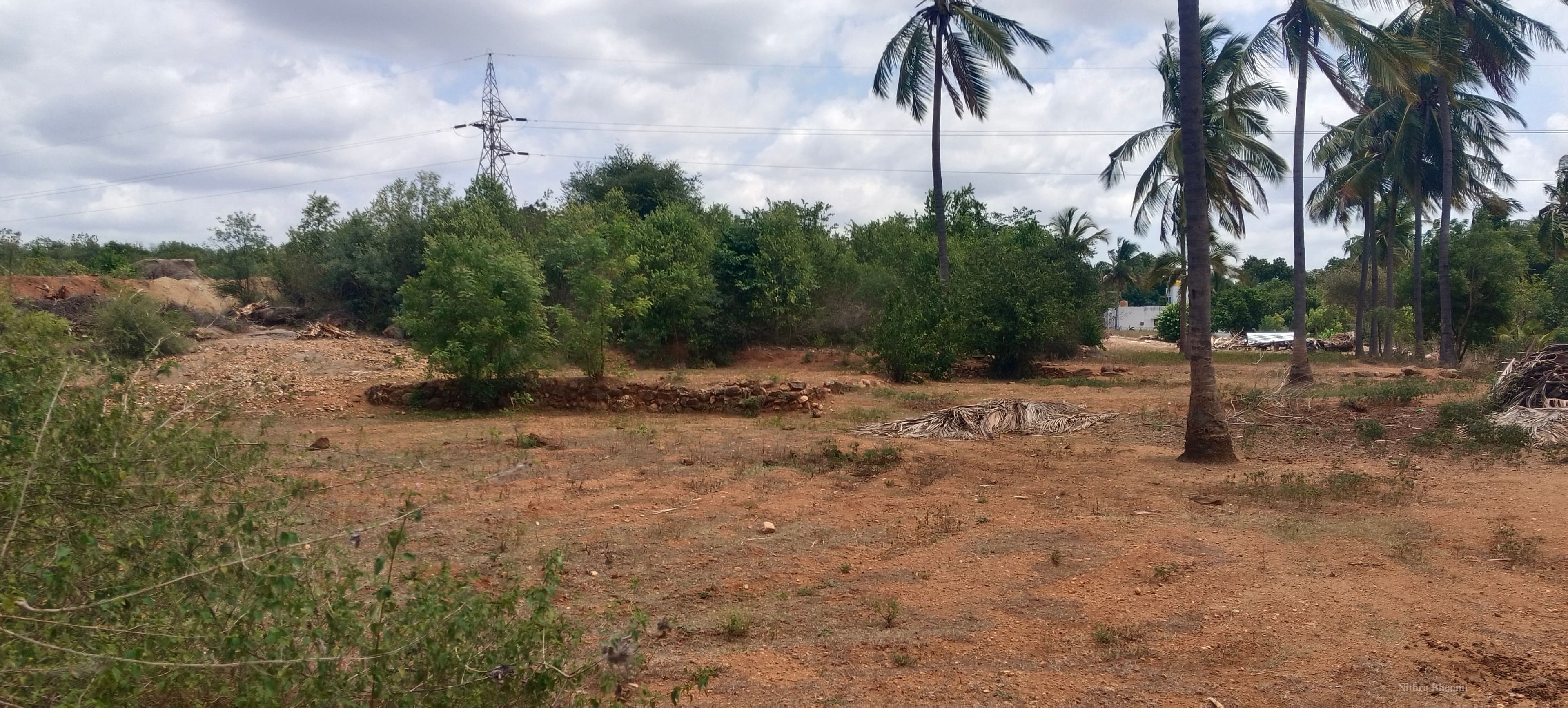 Agricultural Land Property in Narayana Nagar, Uthangarai