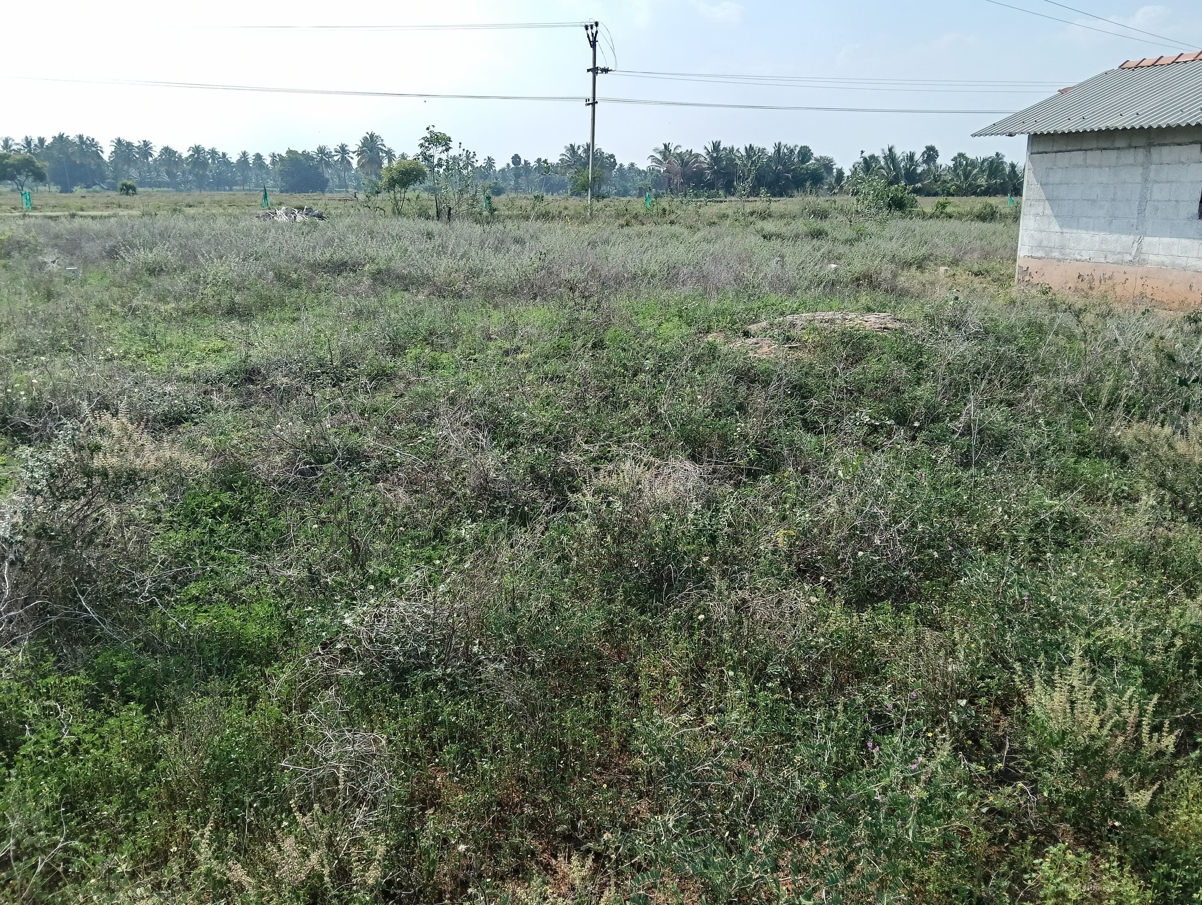 Plot Property in Modakkurichi