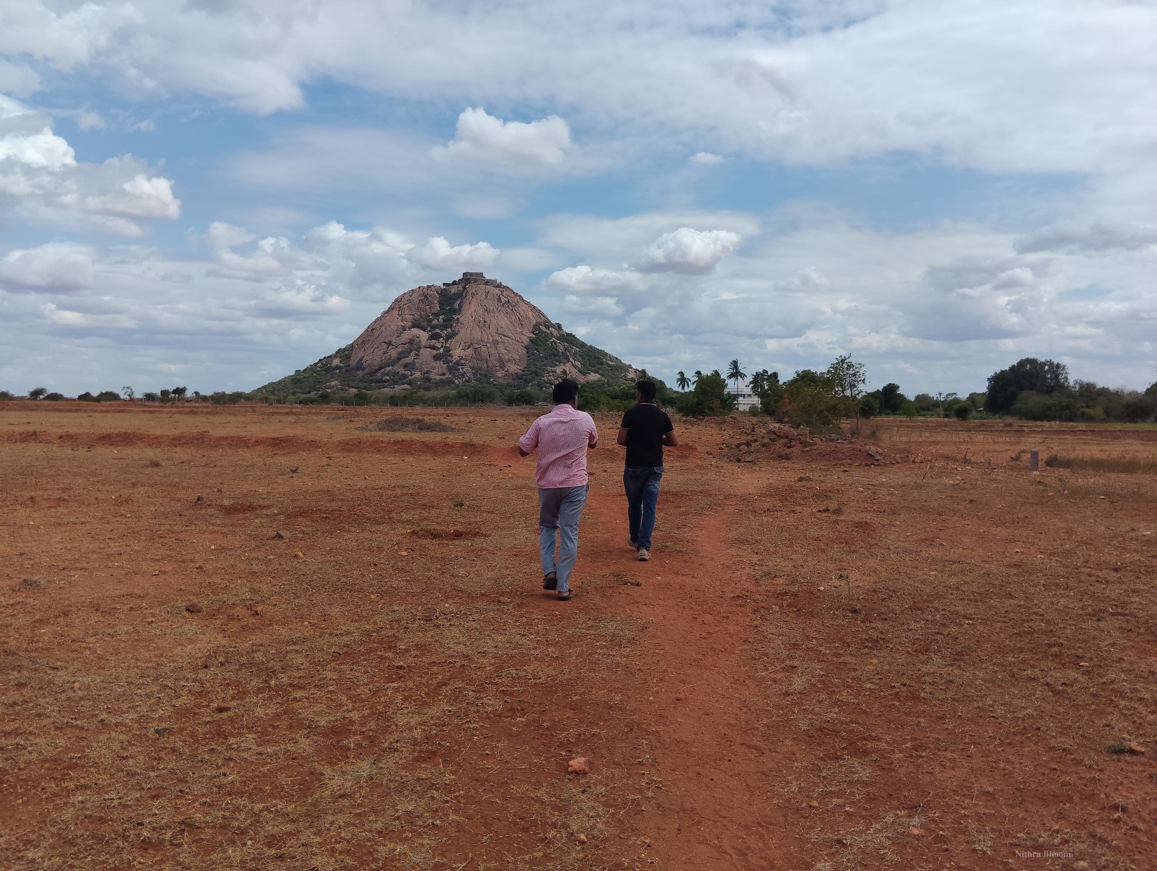 Agricultural Land Property in Thogaimalai