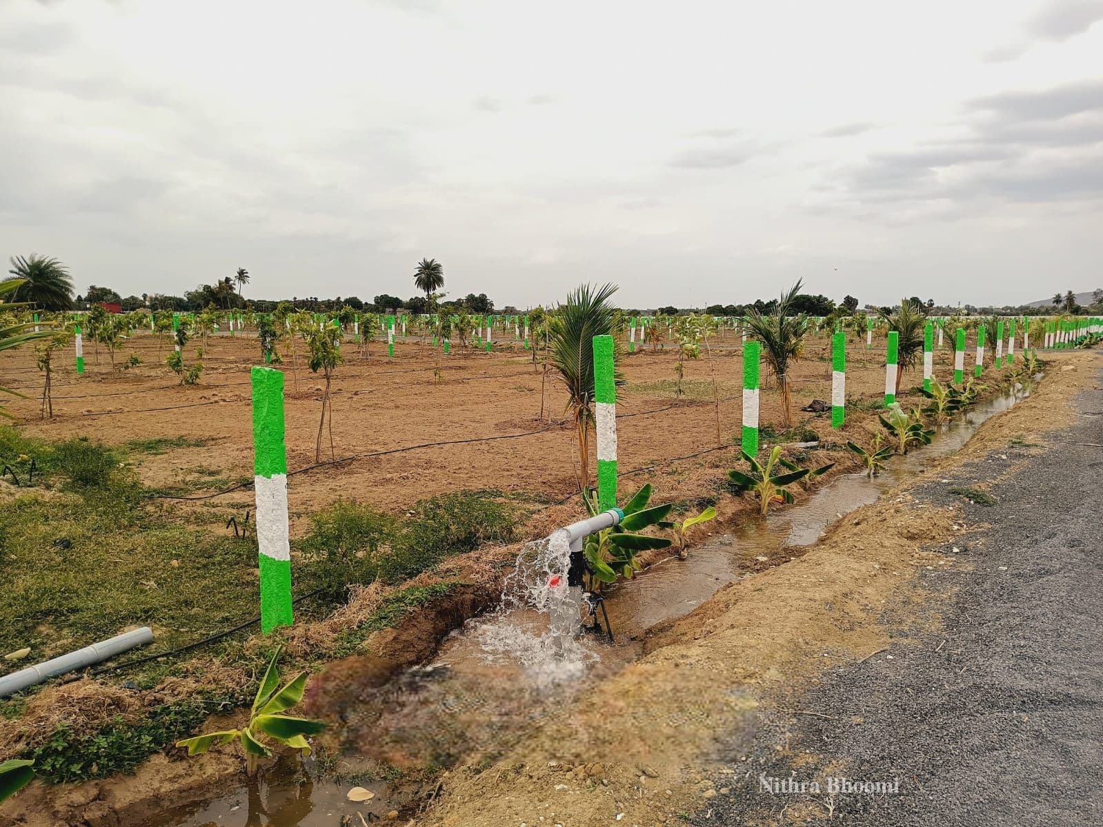 Farm House Property in Uthiramerur