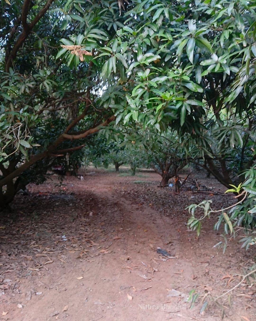 Farm House Property in Tirukalukundram