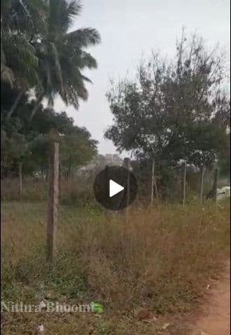 Plot Property in Bharathi Nagar, Chennai