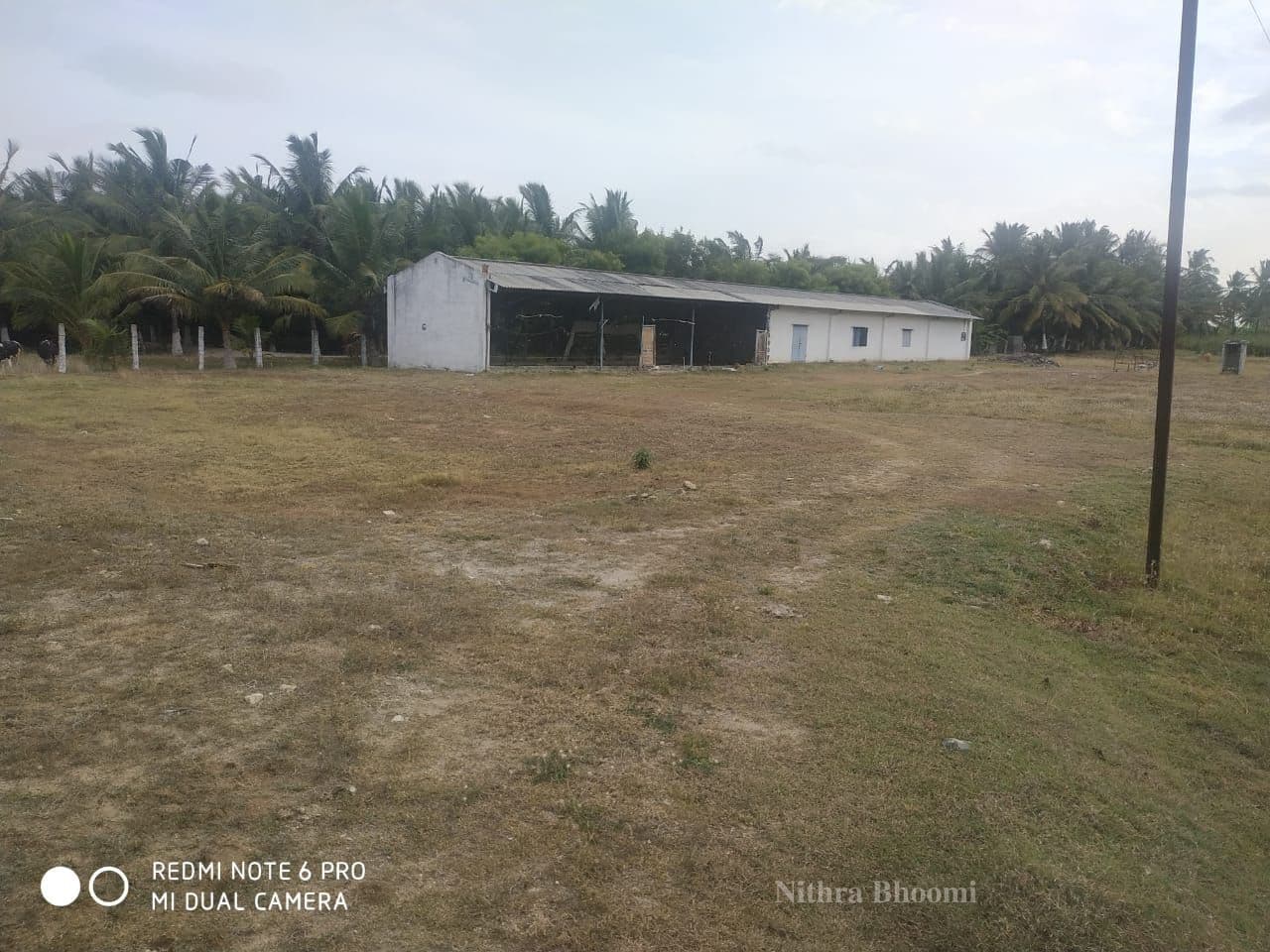 Agricultural Land Property in Kaduvettipalayam