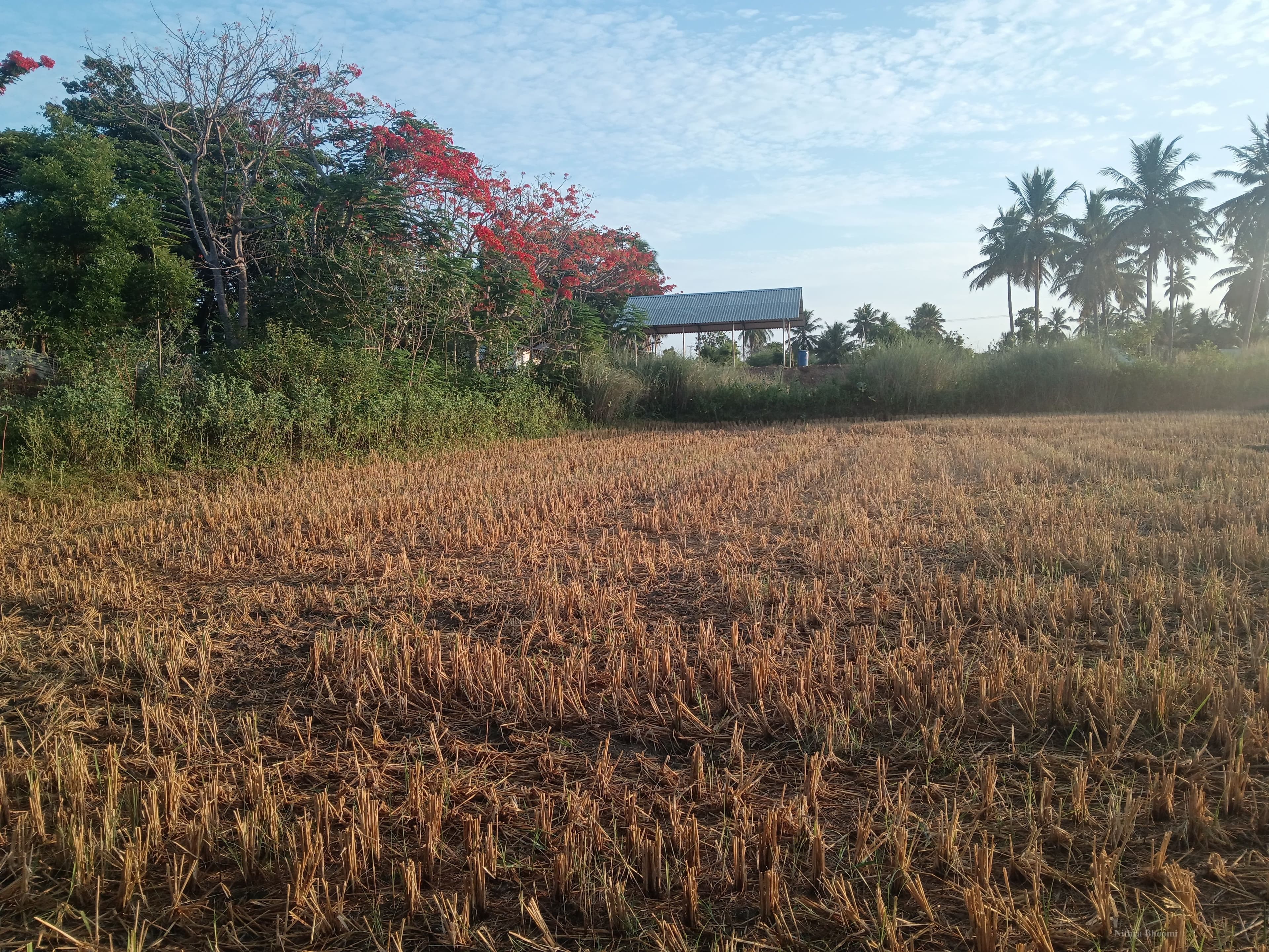 Agricultural Land Property in Poovalur