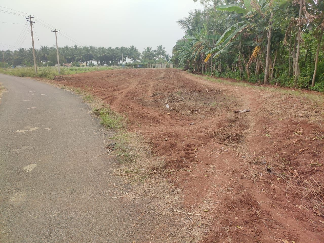 Agricultural Land Property in Athoor