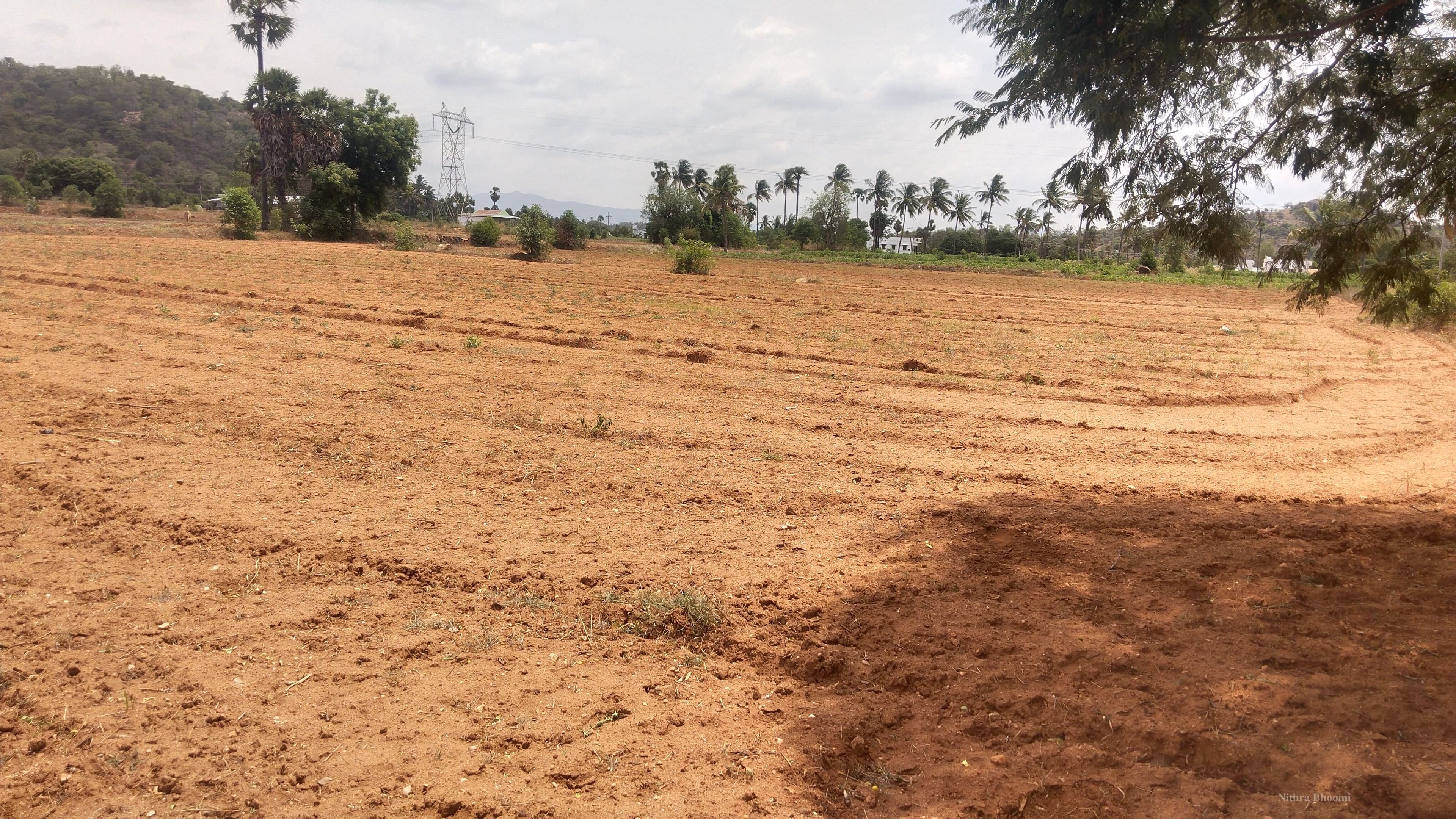 Agricultural Land Property in Kalarampatty