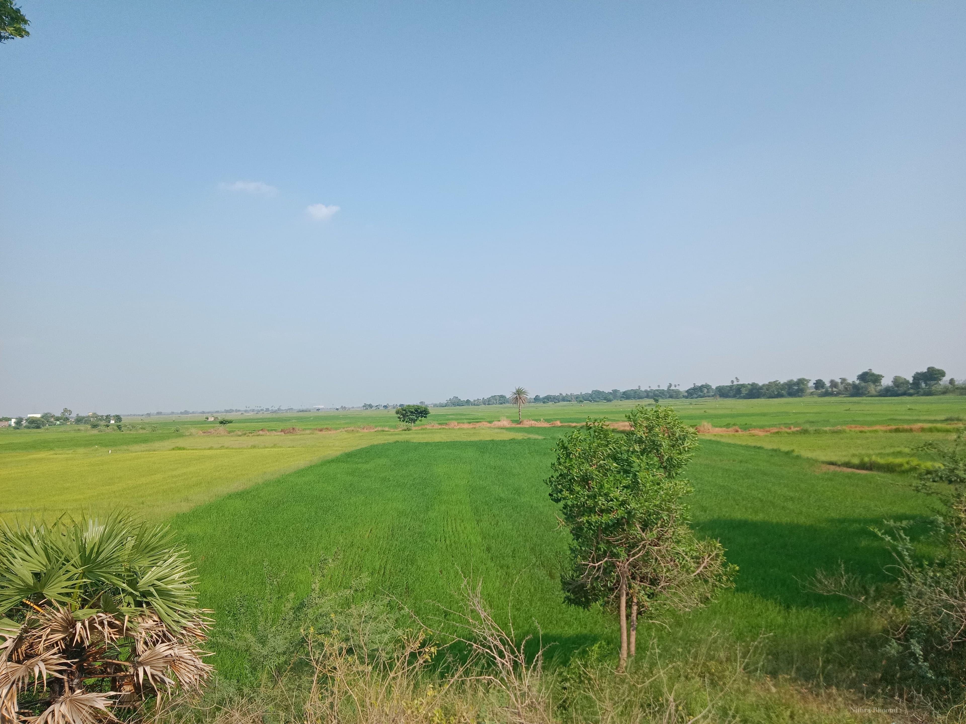 Agricultural Land Property in Kanchipuram