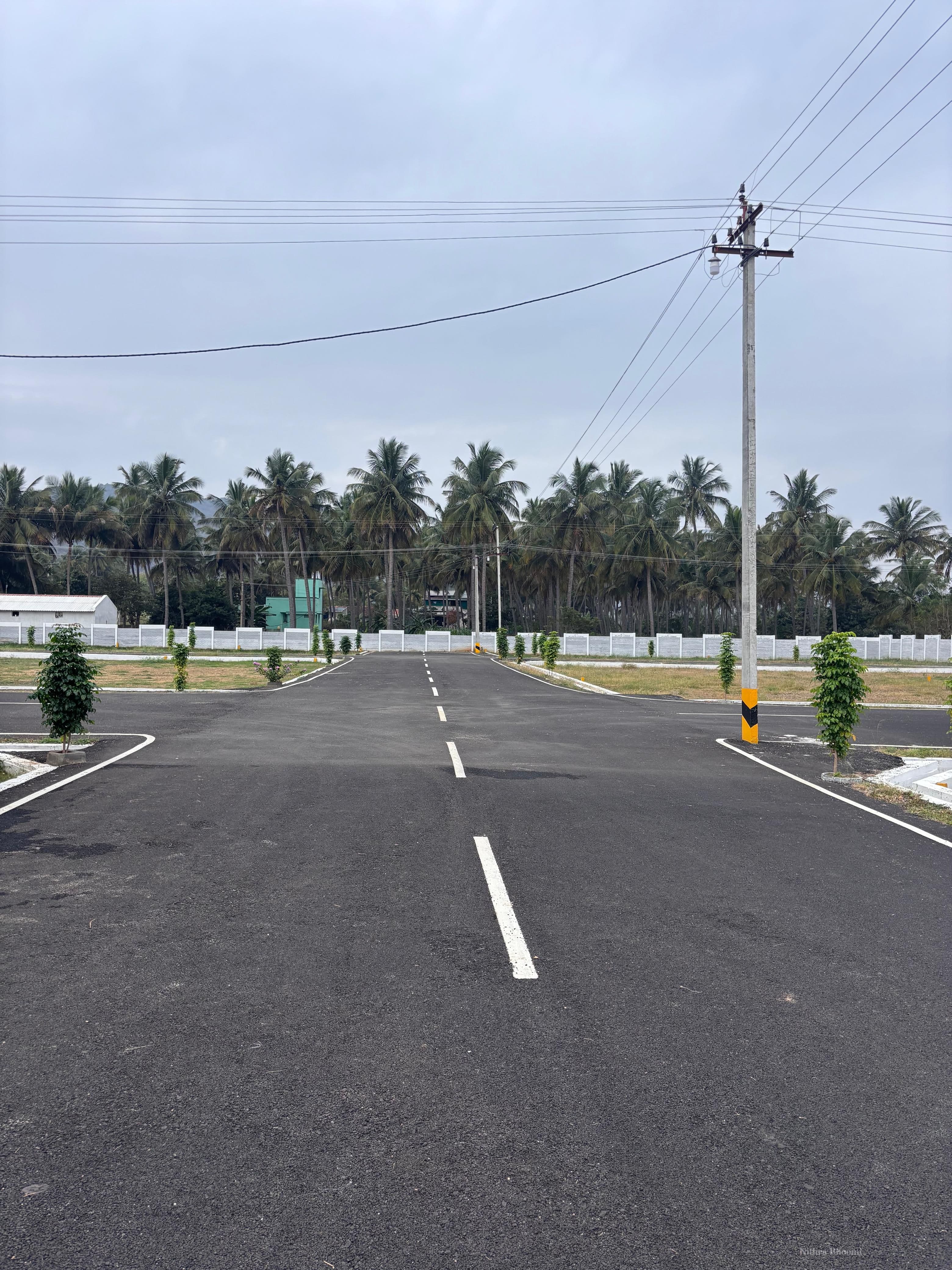 Plot Property in Anuppur