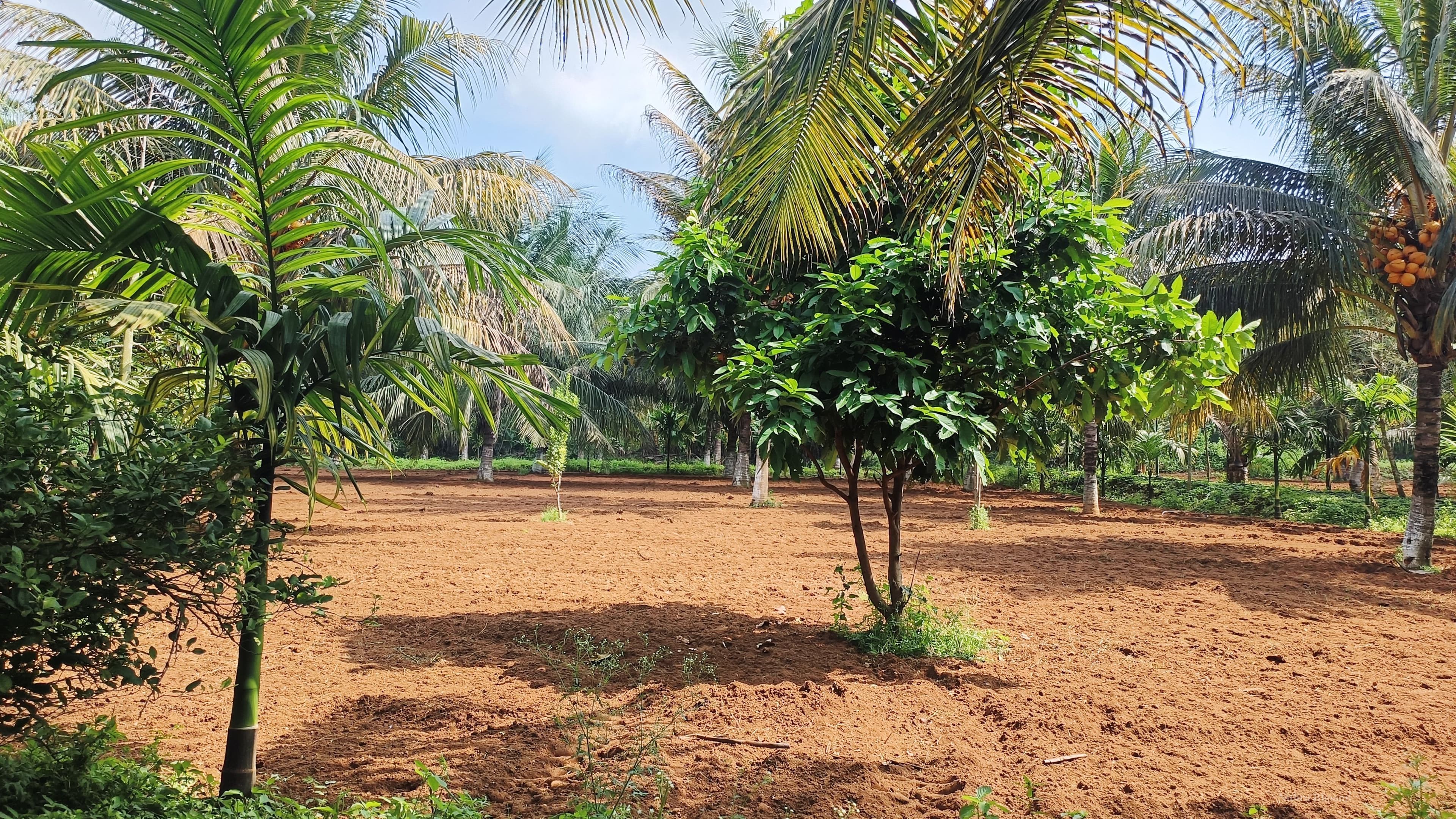 Agricultural Land Property in Coimbatore North