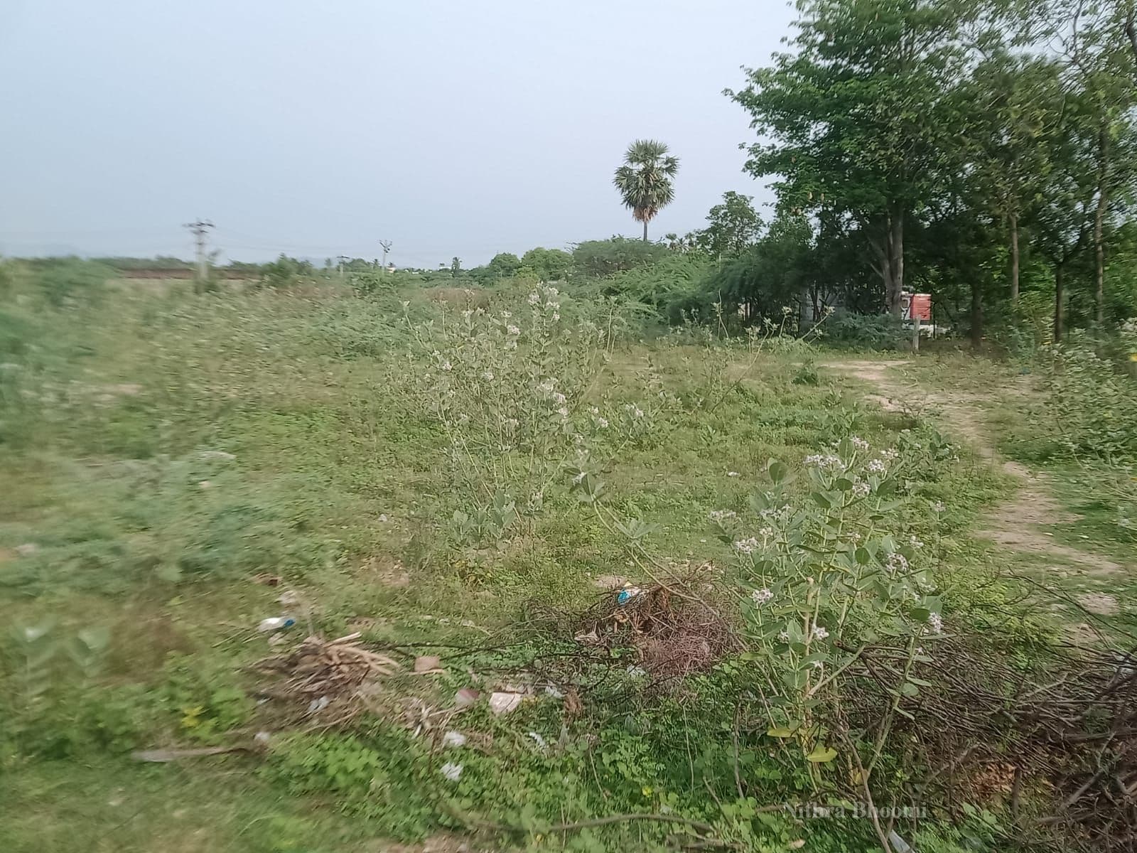 Office Property in RMTC Colony, RMTC Nagar
