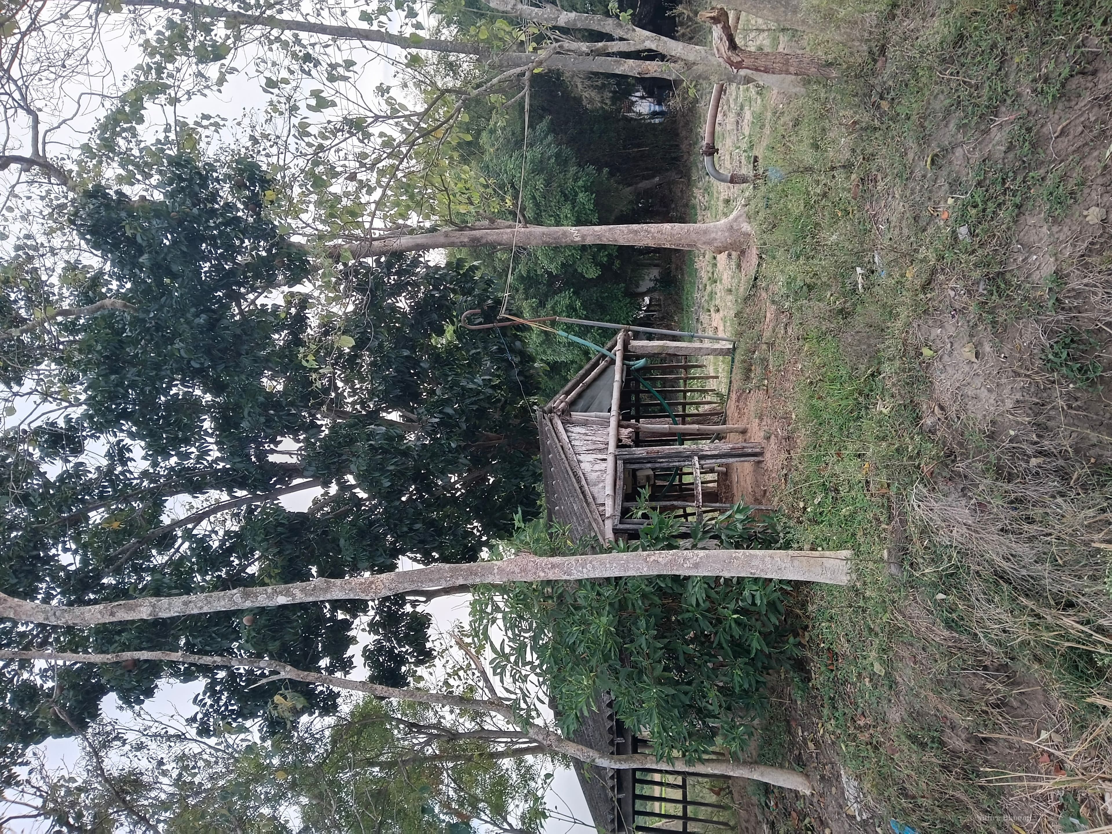 Agricultural Land Property in Veeramangalam