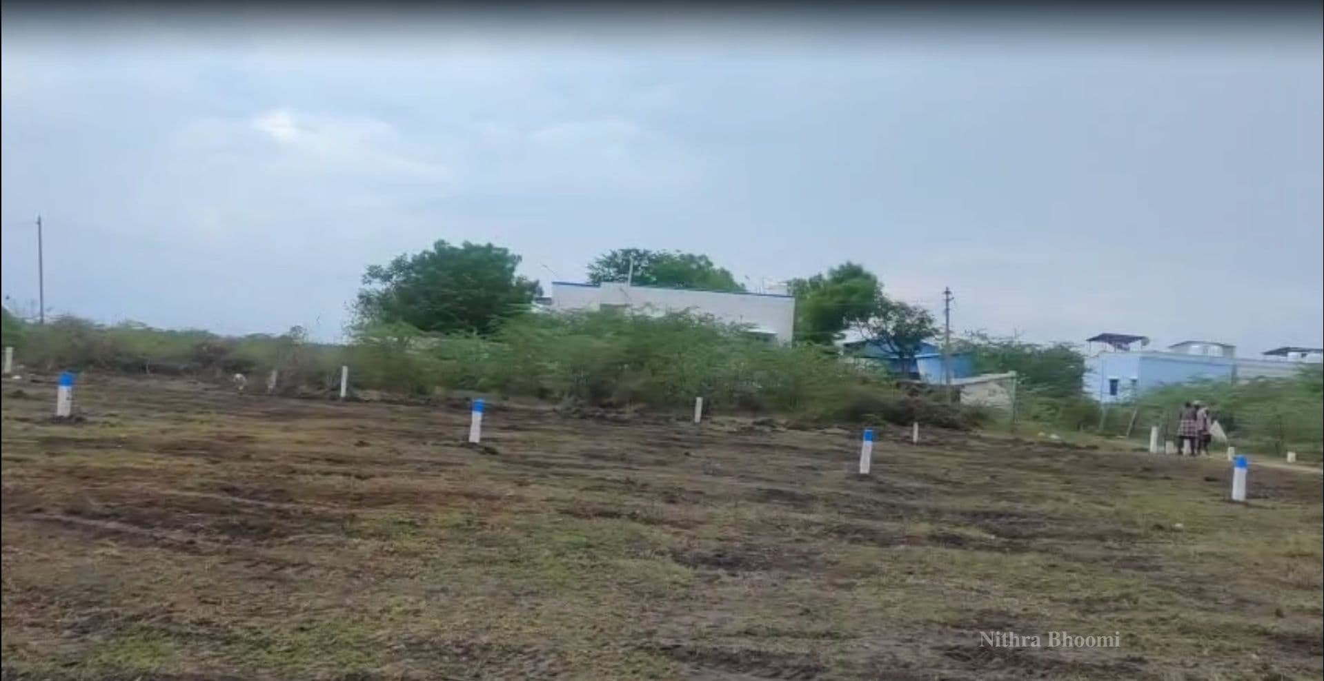 Plot Property in Pandian Nagar, Virudhunagar