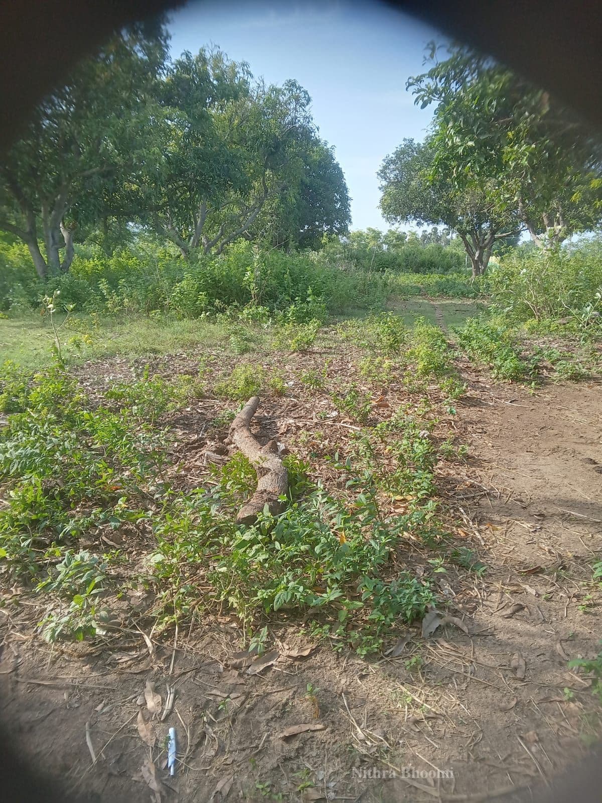 Plot Property in Chellathur, Ramakrishna Rajapet