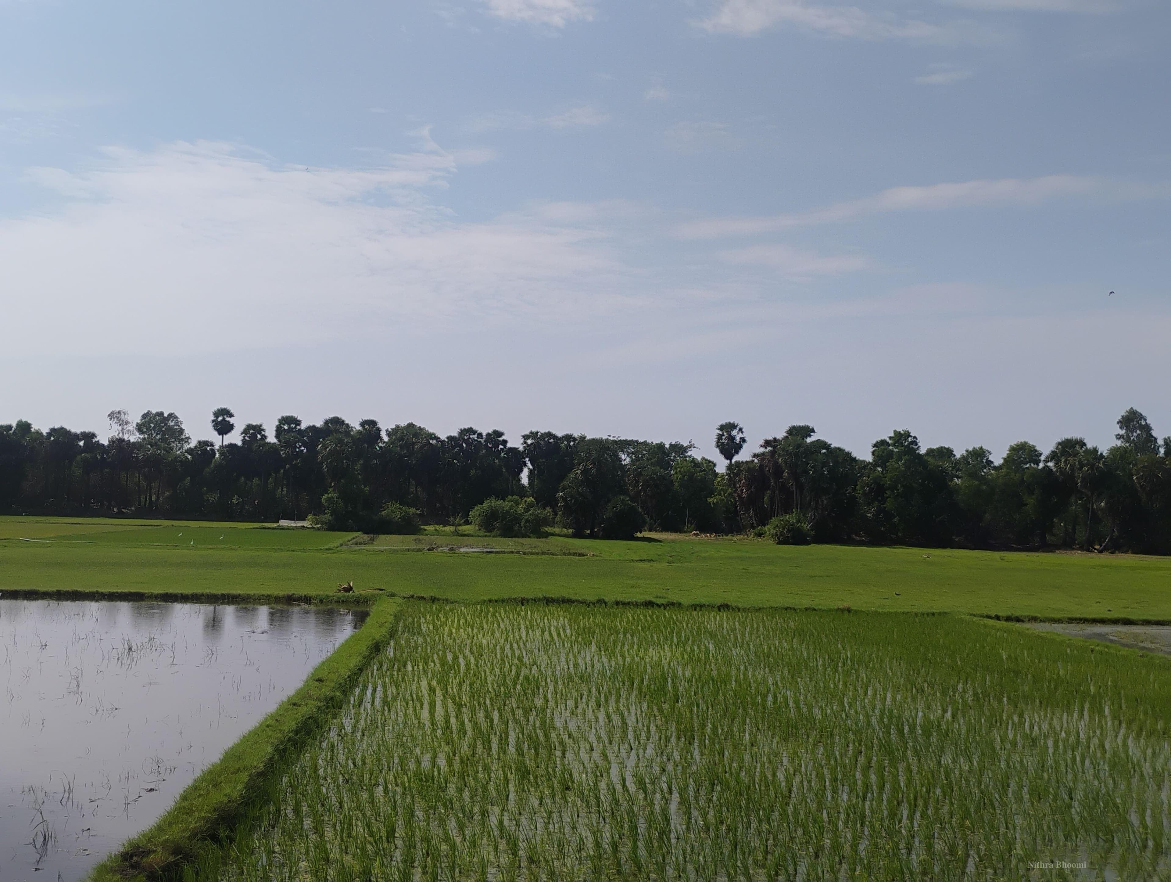 Agricultural Land Property in Marakkanam