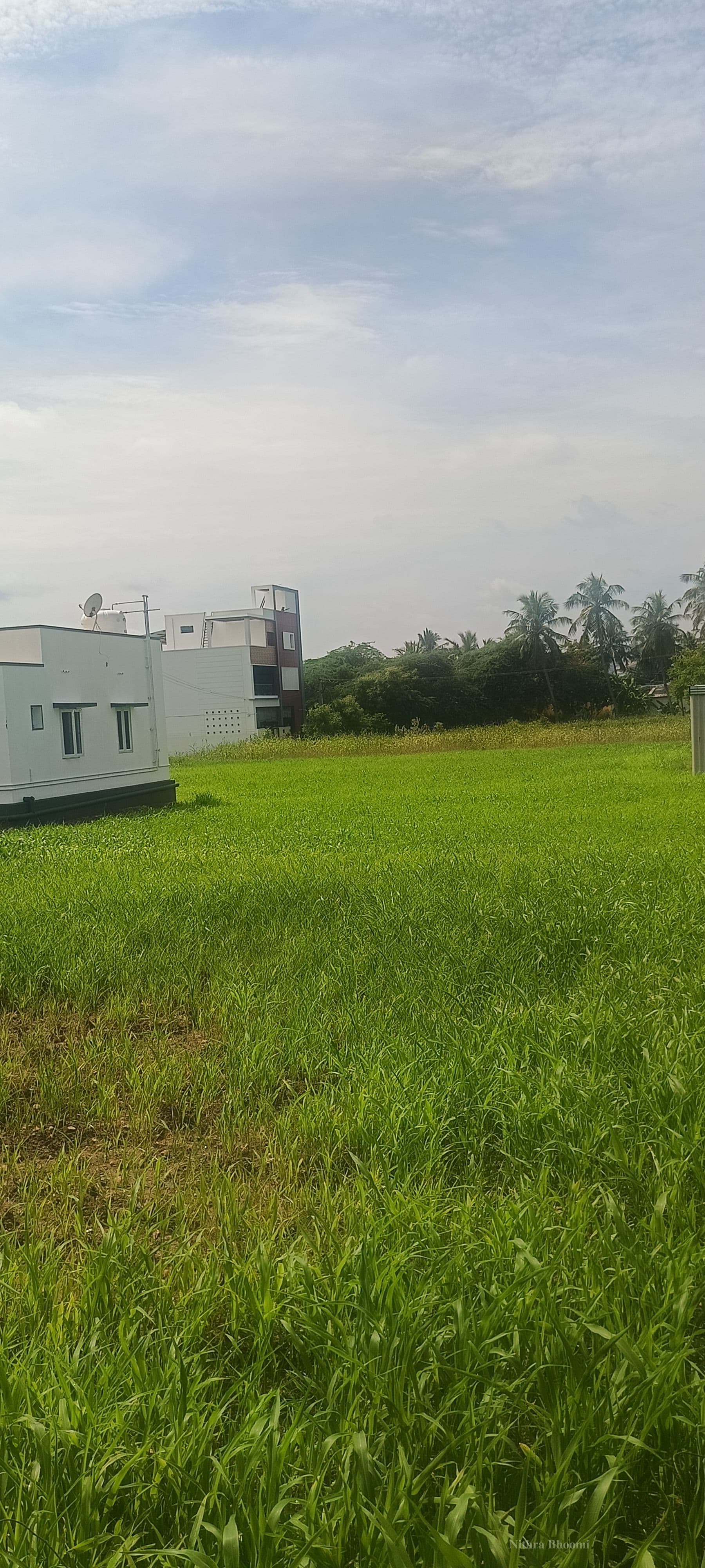 Plot Property in Masaiyan Theru, Edappadi