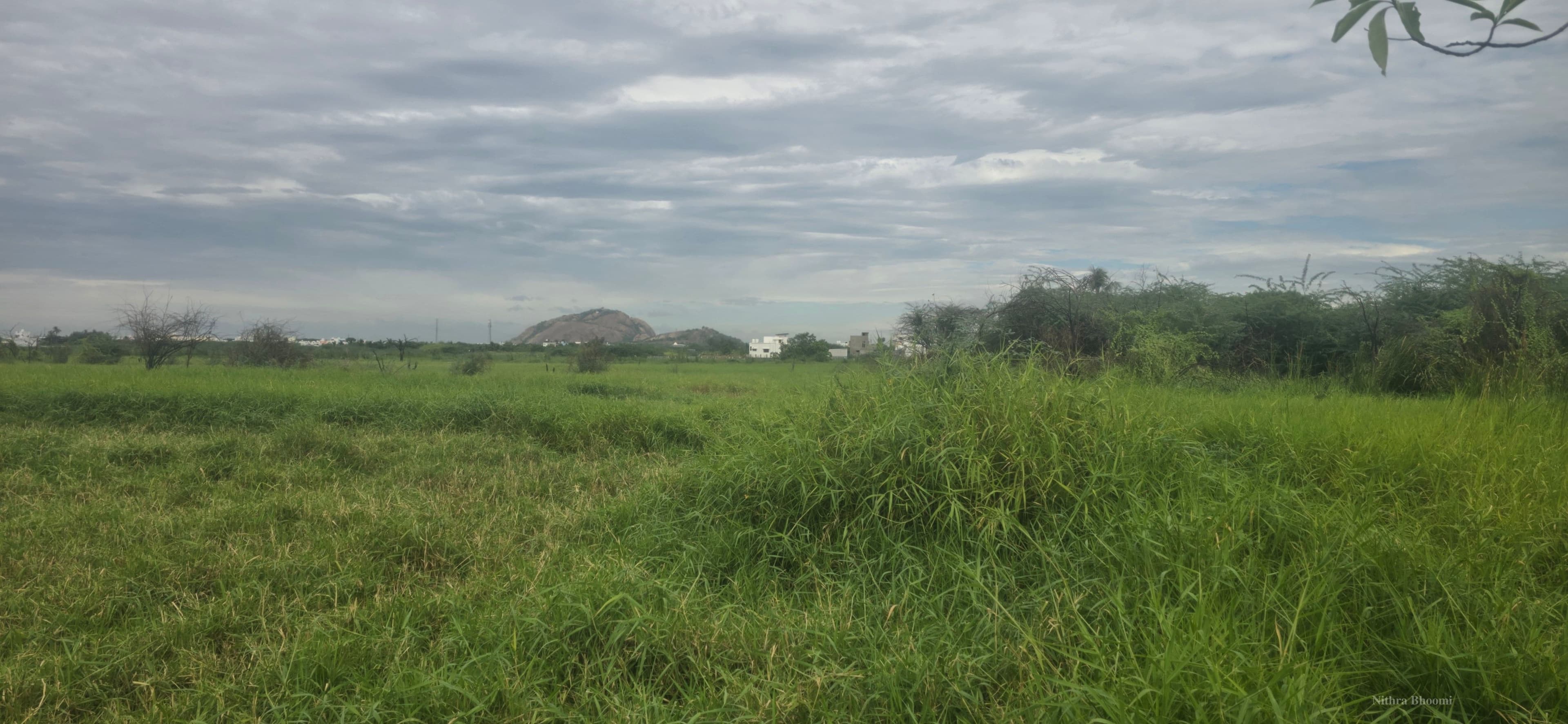 Agricultural Land Property in Kovalan Nagar, Madurai