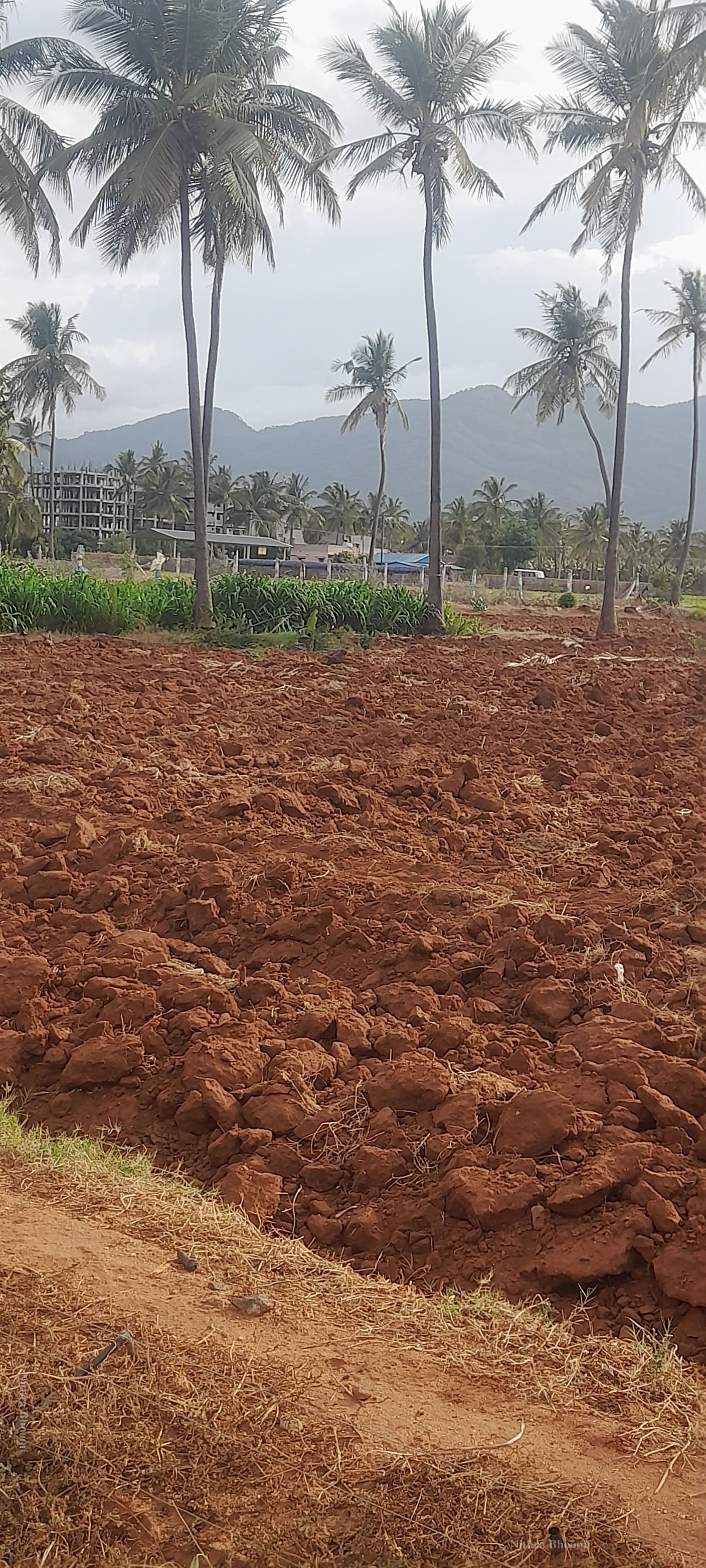 Agricultural Land Property in Coimbatore South