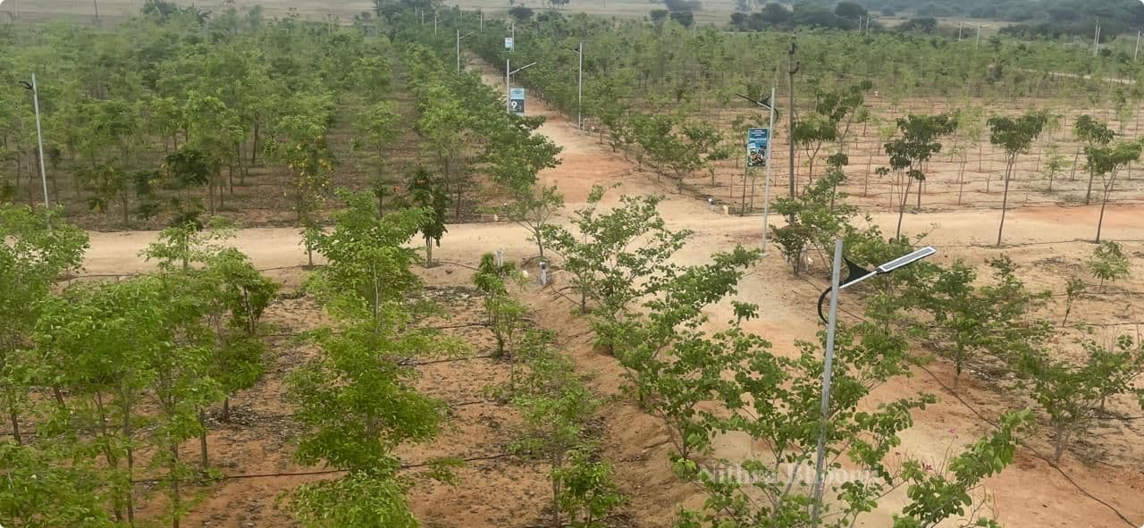 Farm House Property in Illathuru