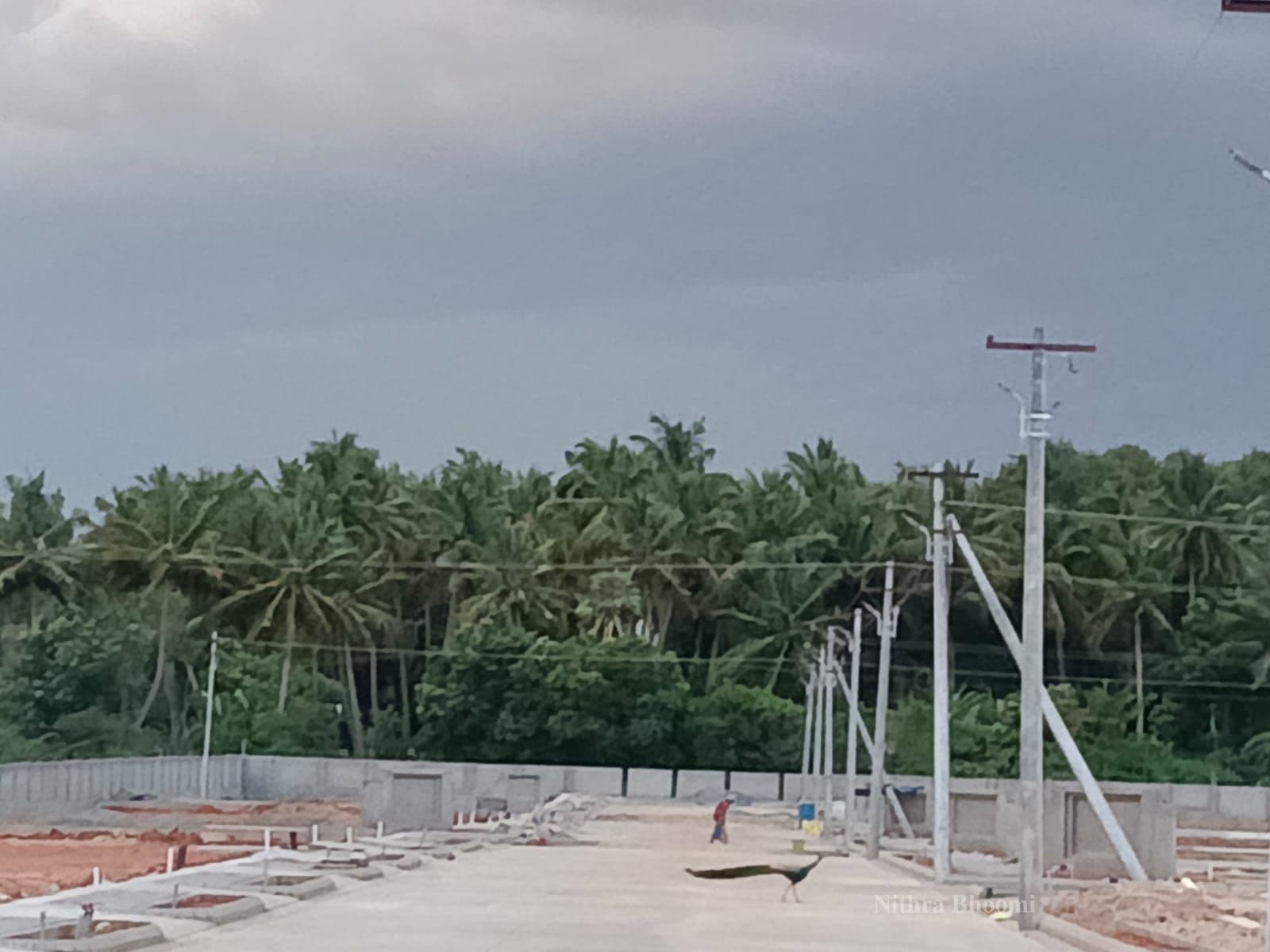 Plot Property in Lakshmi nagar, Vayalur