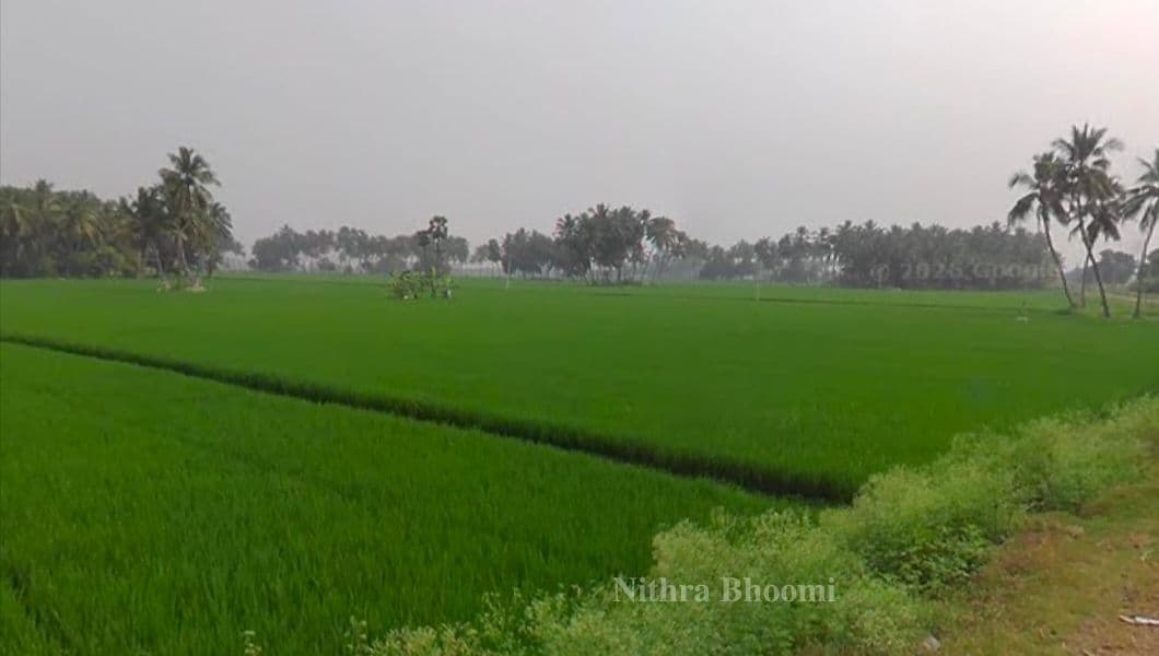 Agricultural Land Property in Manikandam