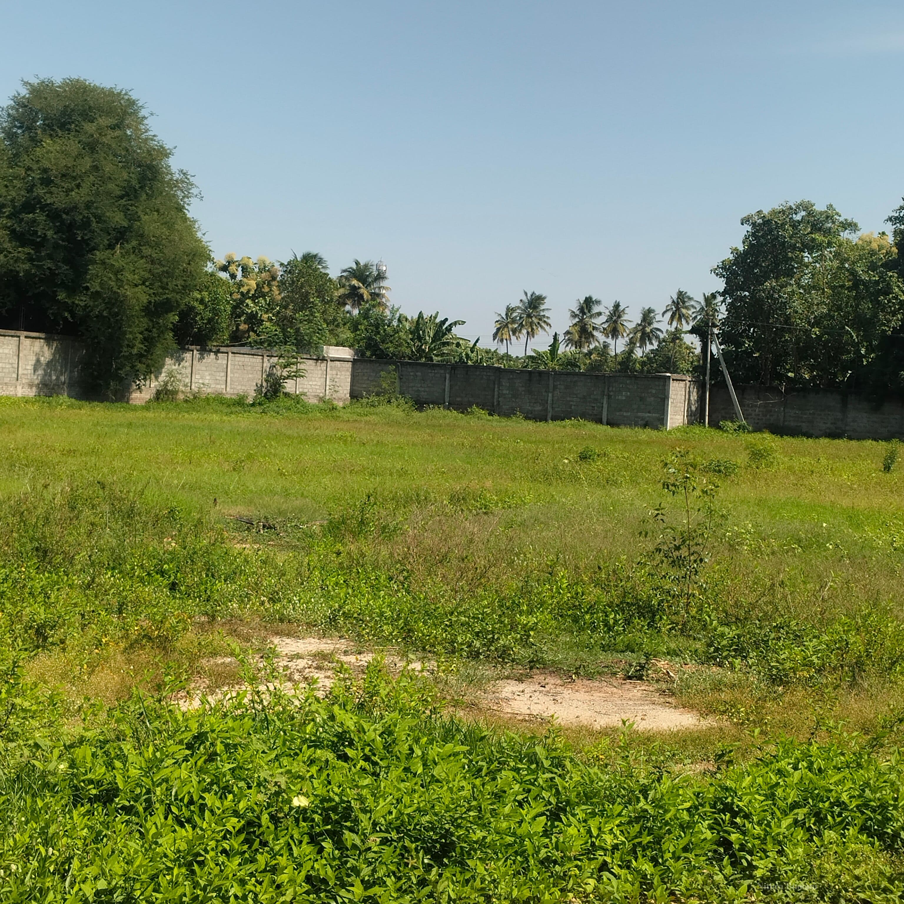 Agricultural Land Property in Palur