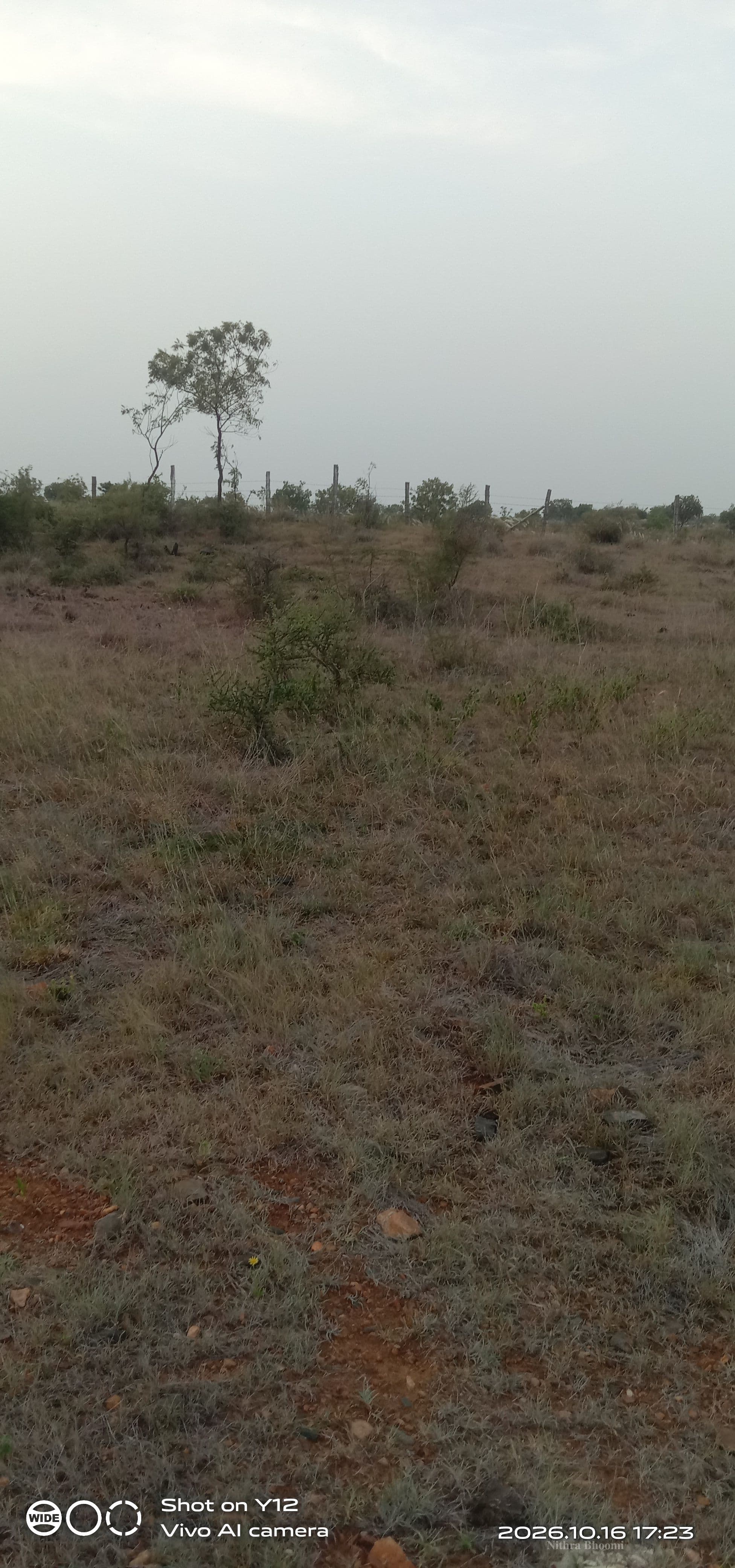 Agricultural Land Property in Pedda Adesherlapally