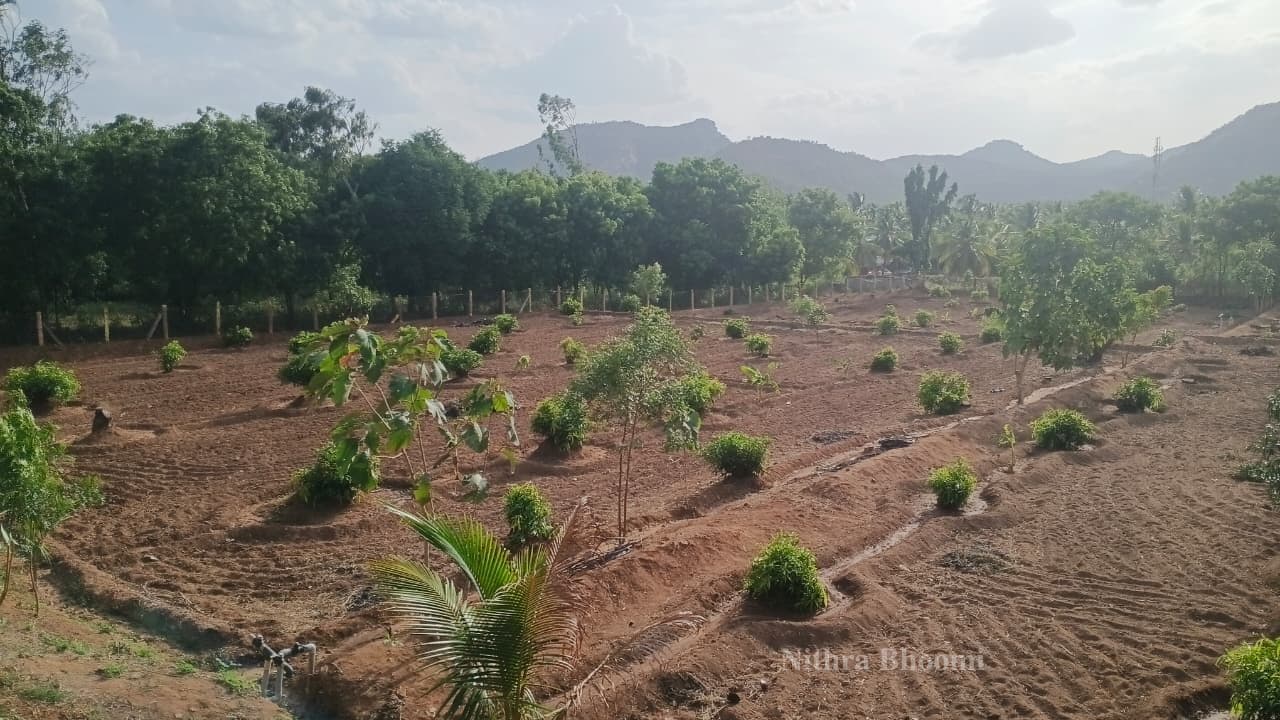 Agricultural Land Property in Gudiyatham