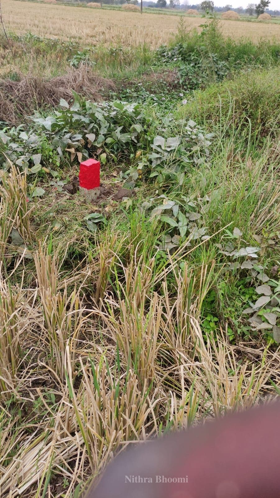 Agricultural Land Property in Pududevankudi